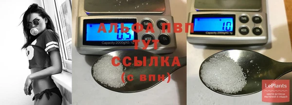 прущие крисы Зеленокумск