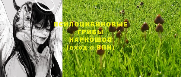 спиды Зерноград