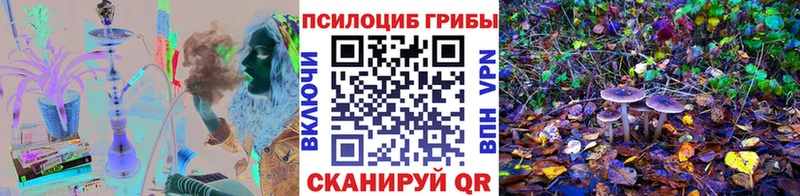 Галлюциногенные грибы Cubensis  Купить  Глазов 